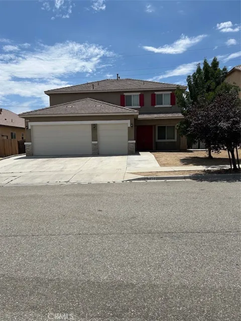 14171 Desert Rose