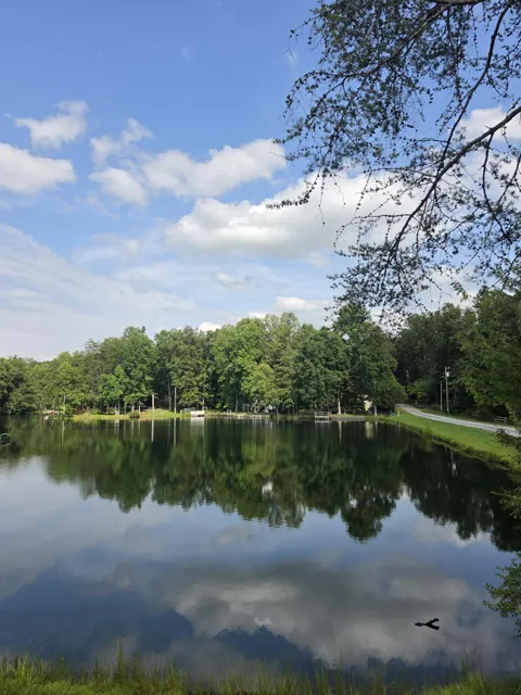 292 David Crockett Road