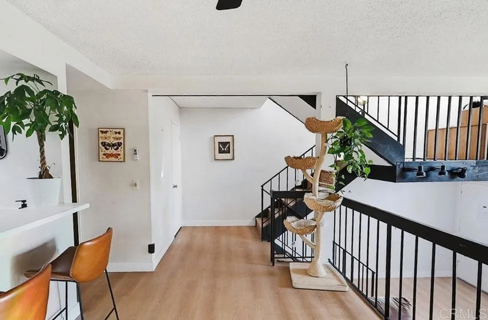 8773 Spring Canyon Drive Spring Valley, CA 91977