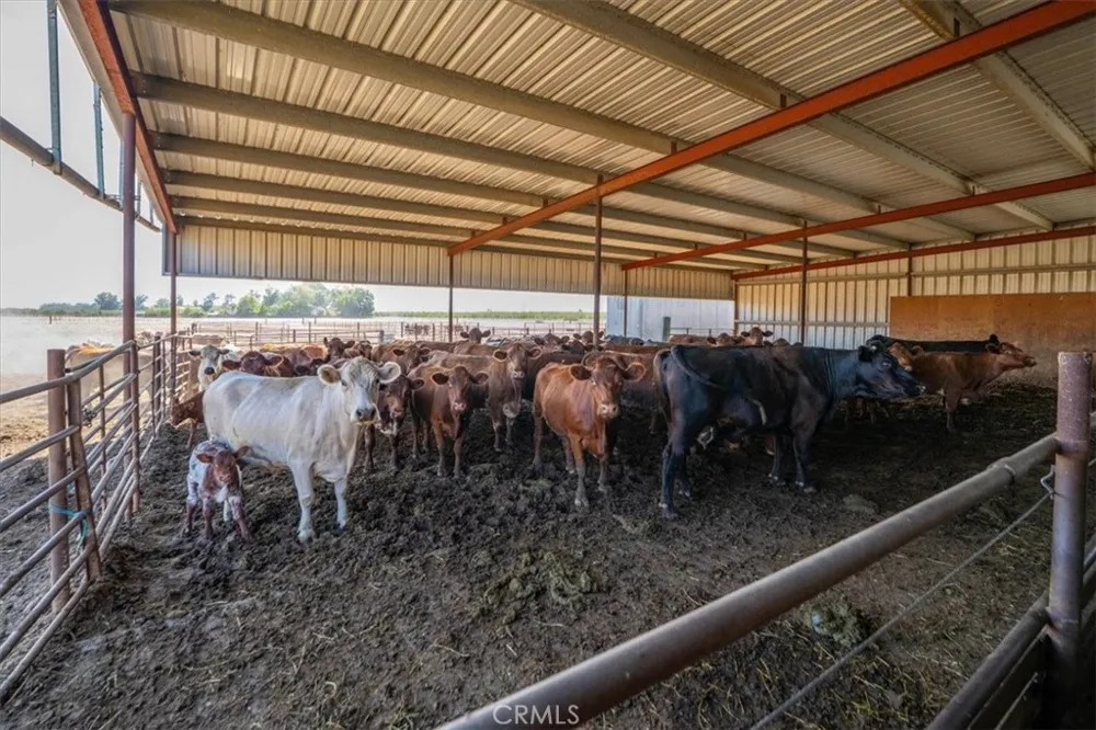 20060 Corning Corning, CA 96021