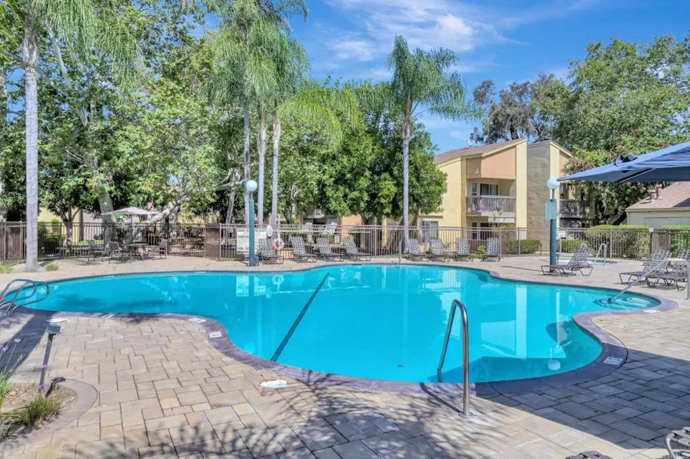 6070 Rancho Mission Road #428 San Diego, CA 92108