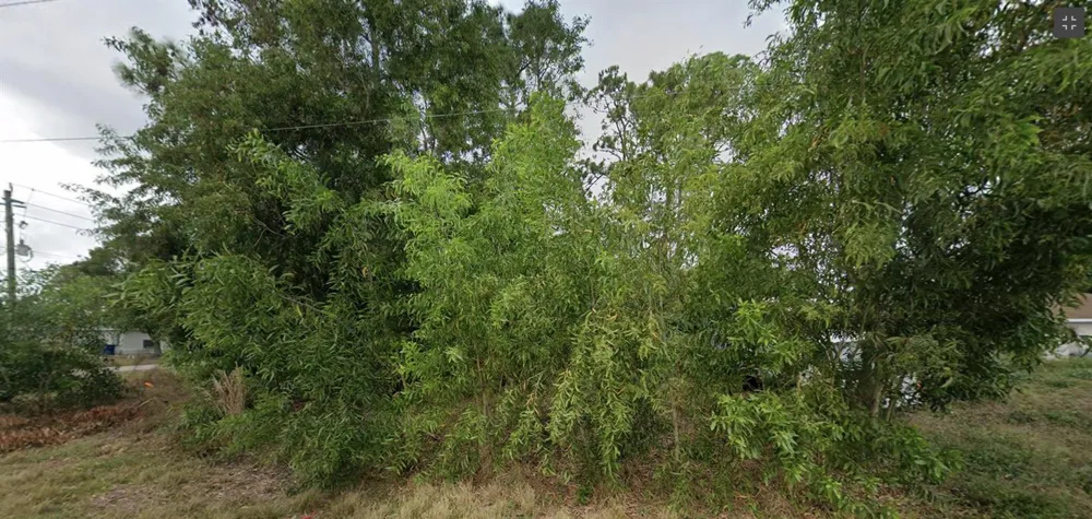 2440 LANTANA AVENUE S Lehigh Acres, FL 33973