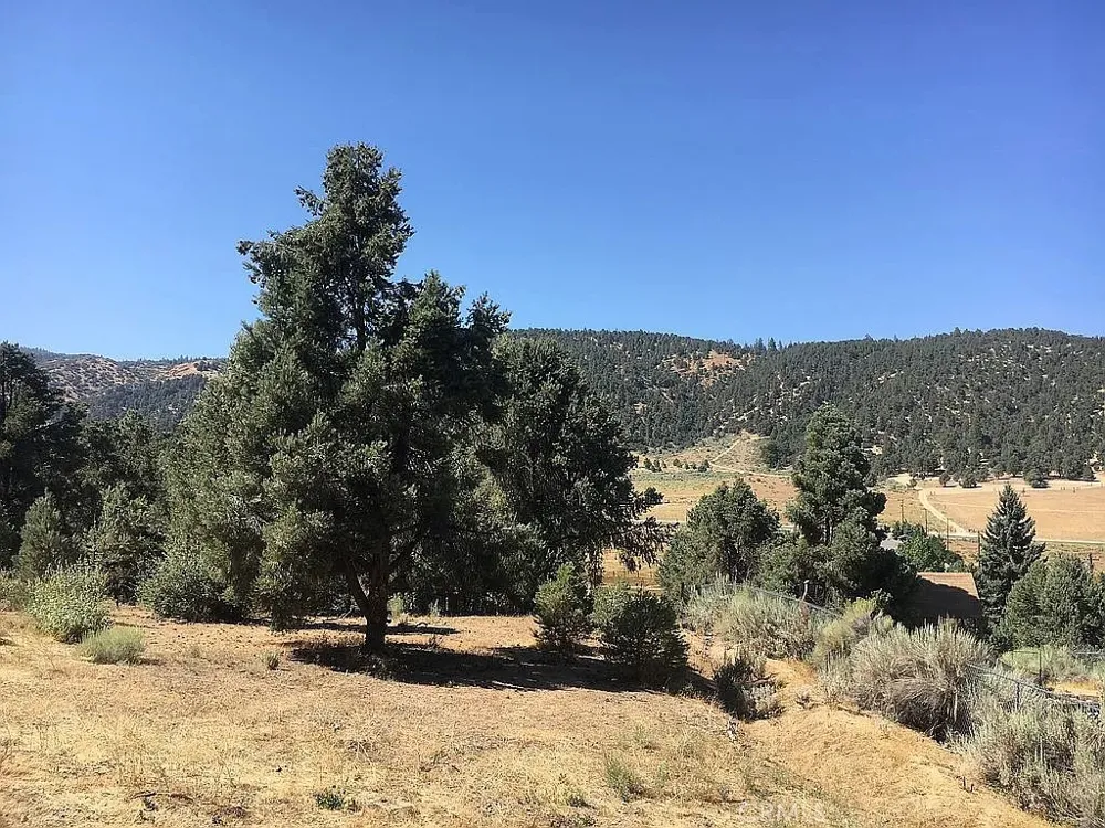 1329 Jay Court Frazier Park, CA 93225