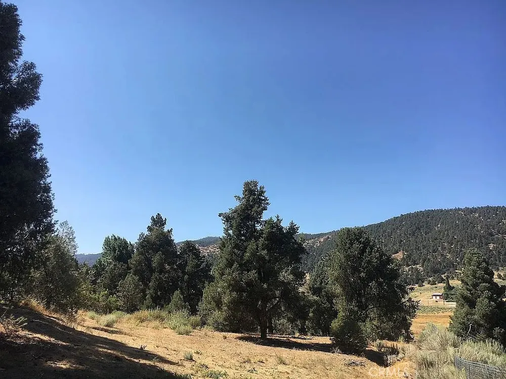 1329 Jay Court Frazier Park, CA 93225