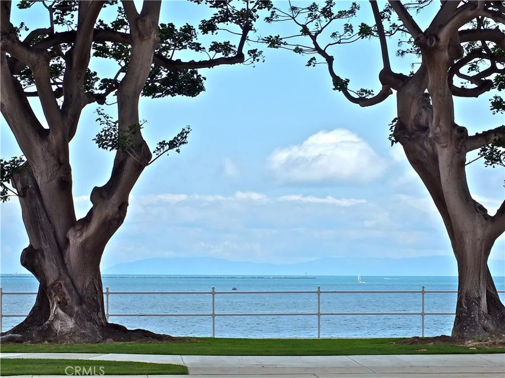 1724 E 1st Street #9 Long Beach, CA 90802