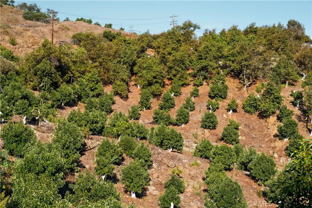 22103 Carancho Temecula, CA 92590