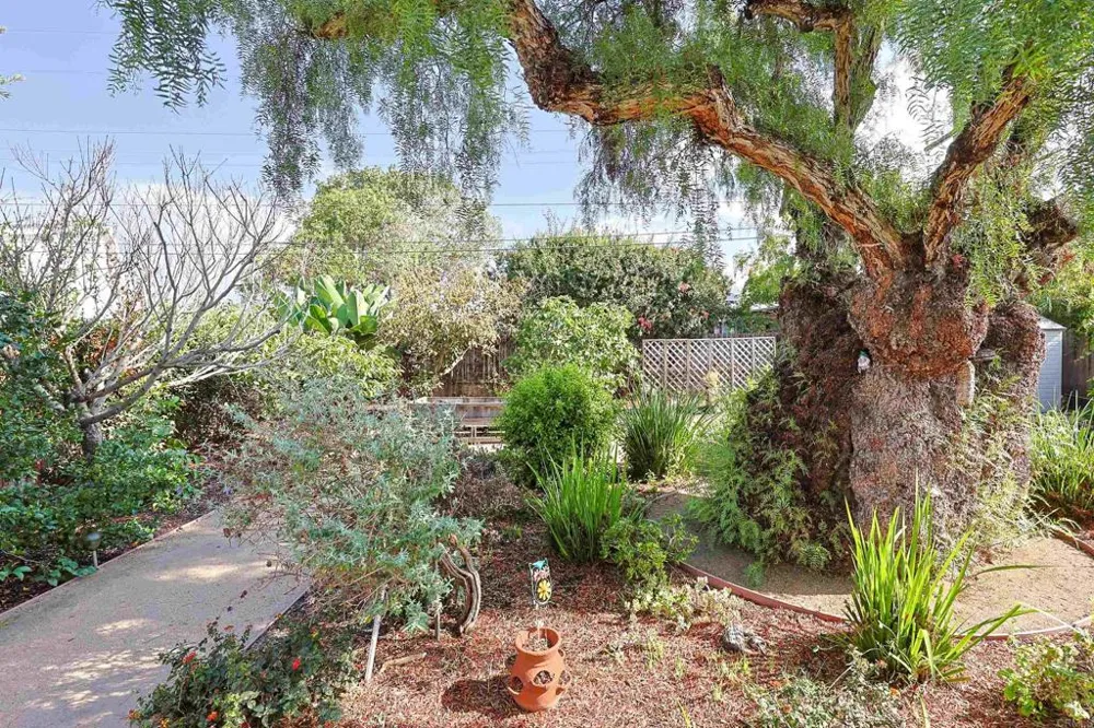 458 Citrus Imperial Beach, CA 91932