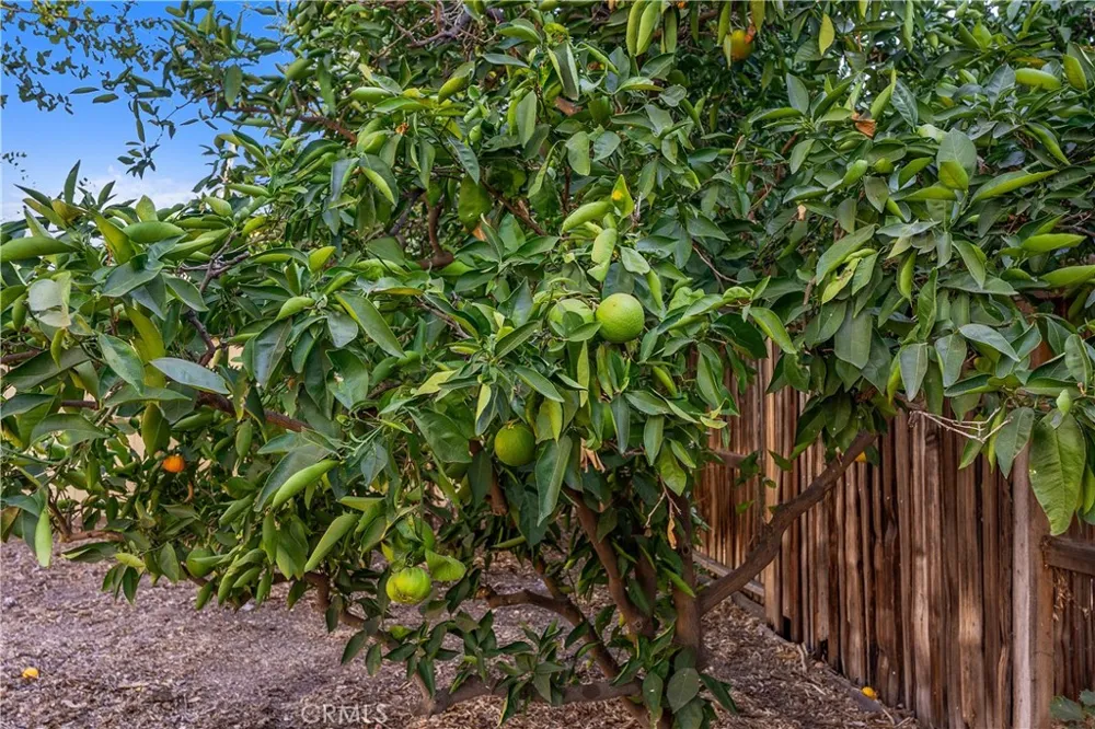 450 W 2nd Tustin, CA 92780