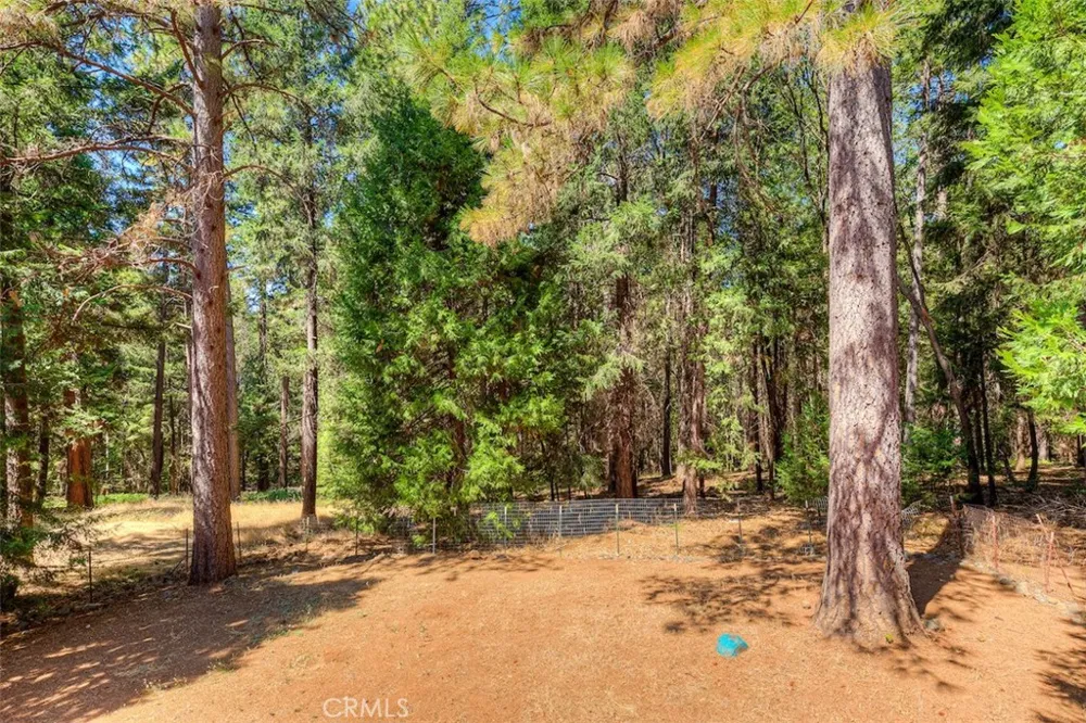 14579 Carnegie Magalia, CA 95954