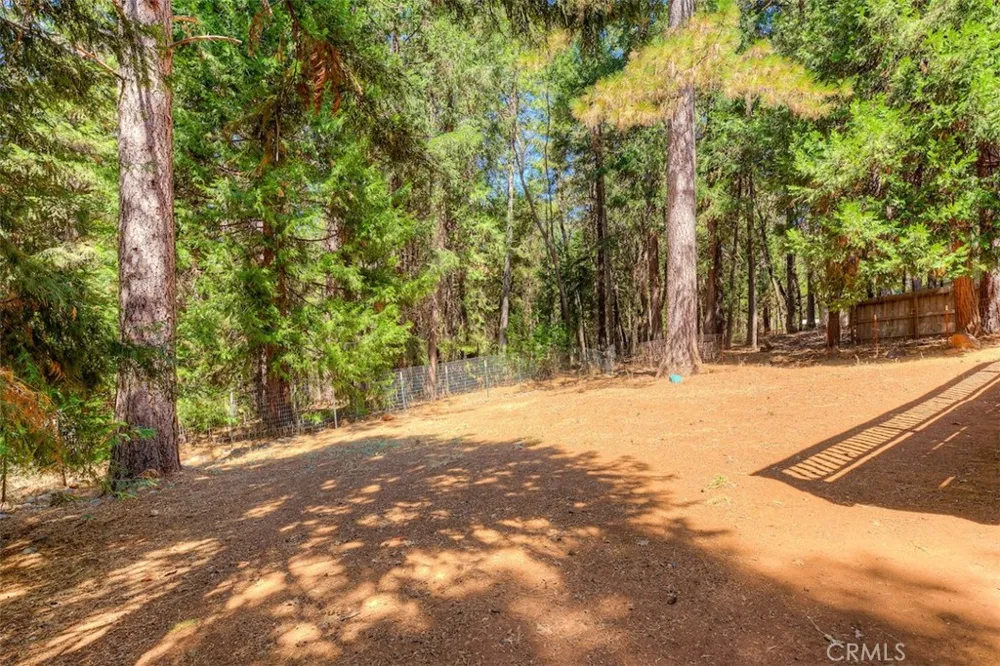 14579 Carnegie Magalia, CA 95954