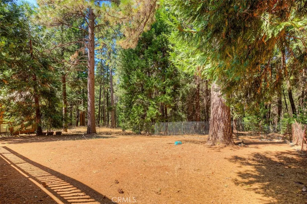 14579 Carnegie Magalia, CA 95954