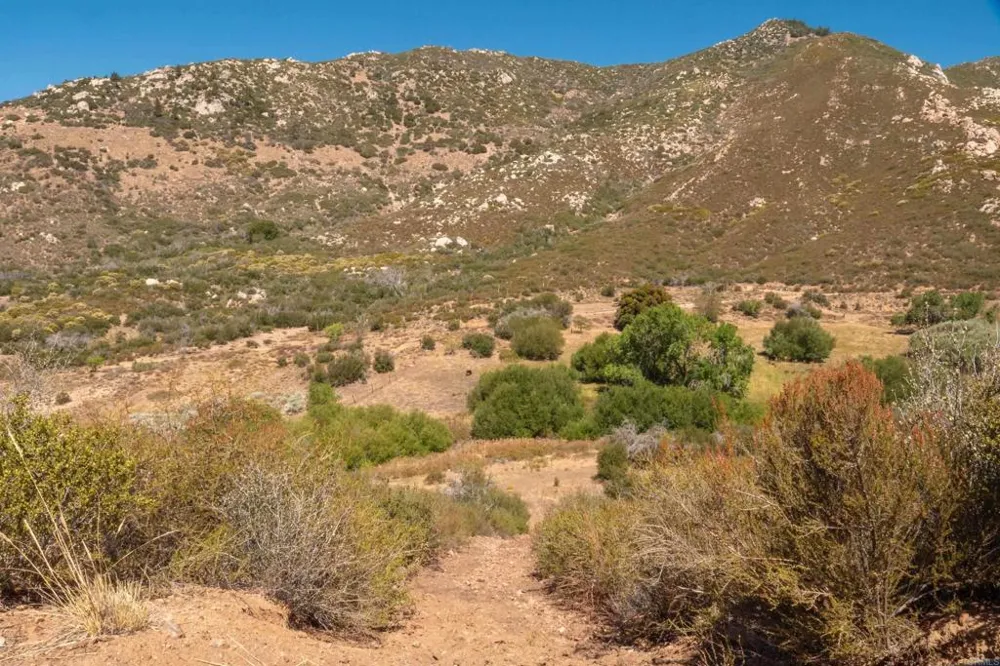 55101 State Highway 74 Mountain Center, CA 92561
