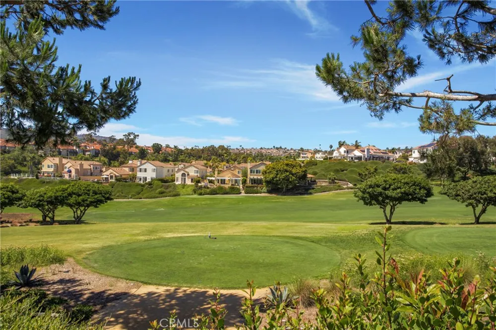 39 Wightman Court Dana Point, CA 92629