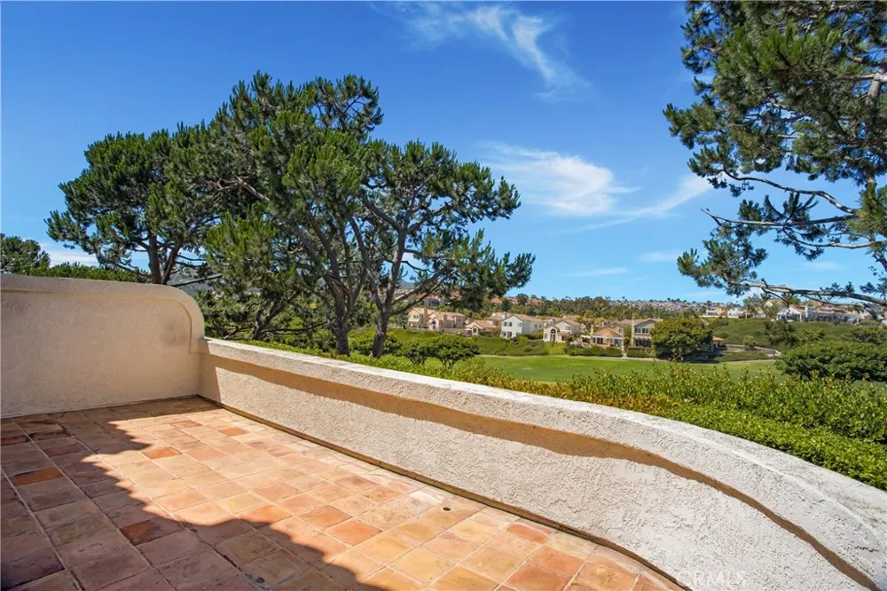 39 Wightman Court Dana Point, CA 92629