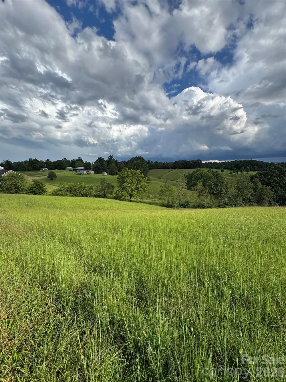 237 Rock Bridge Road Leicester, NC 28748