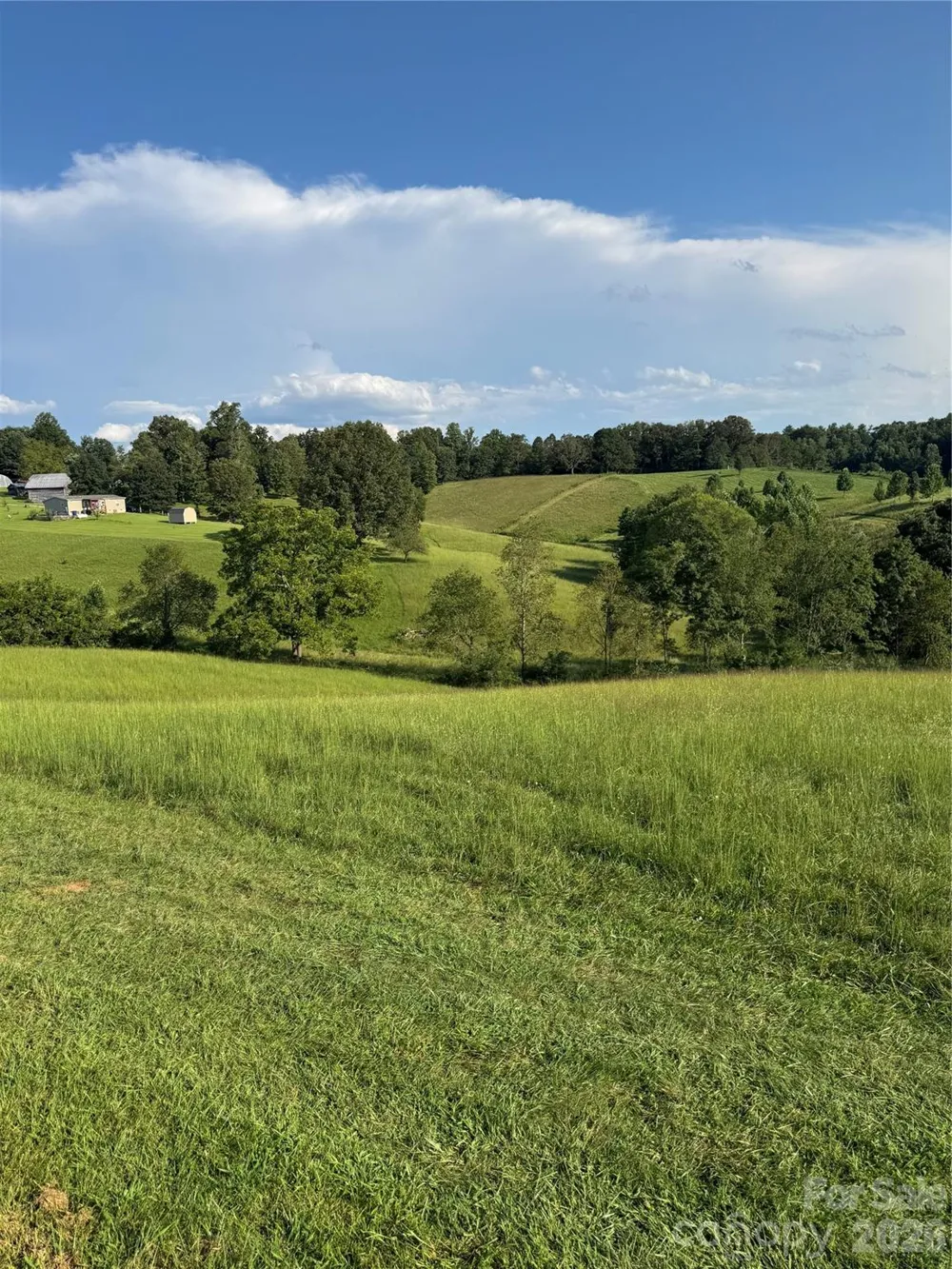 237 Rock Bridge Road Leicester, NC 28748
