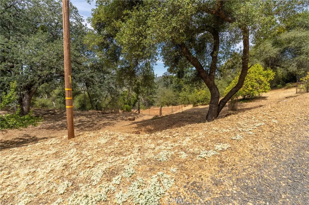 188 Patton Peak Yankee Hill, CA 95965
