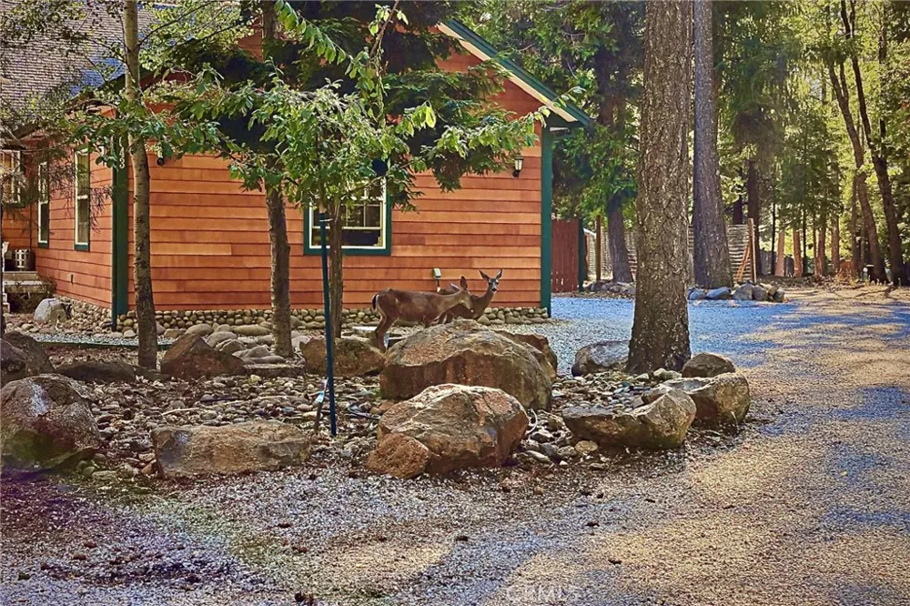 34643 Emigrant Trail Shingletown, CA 96088