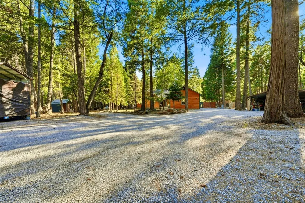 34643 Emigrant Trail Shingletown, CA 96088