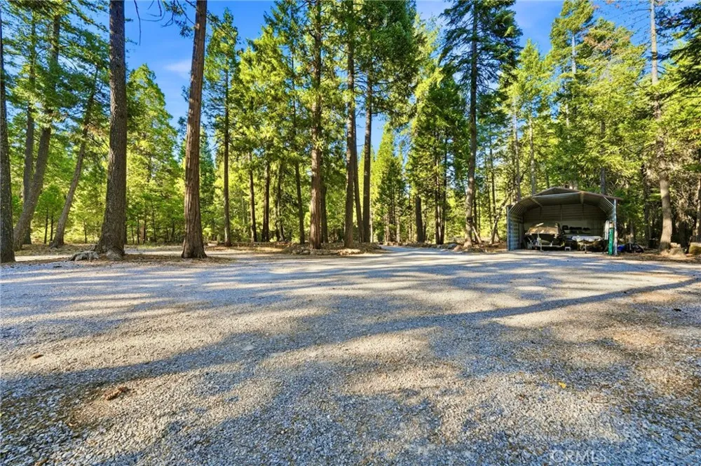 34643 Emigrant Trail Shingletown, CA 96088