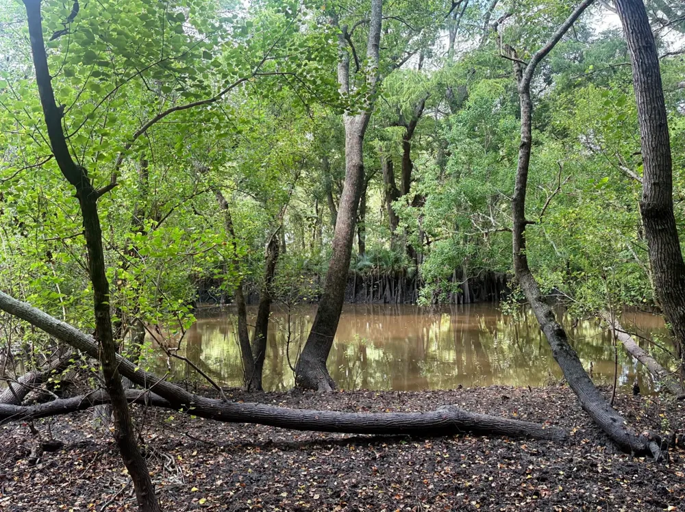 1335 Hilltop Road East Bernard, TX 77435