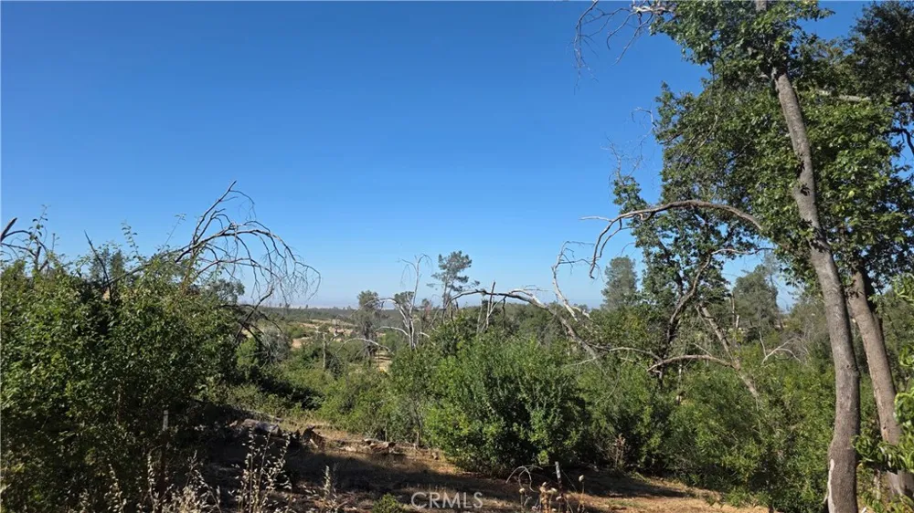 1557 La Grande Vue Paradise, CA 95969