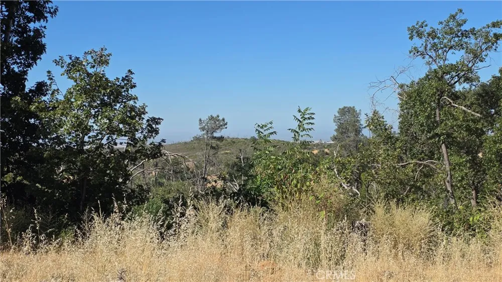 1569 La Grande Vue Paradise, CA 95969