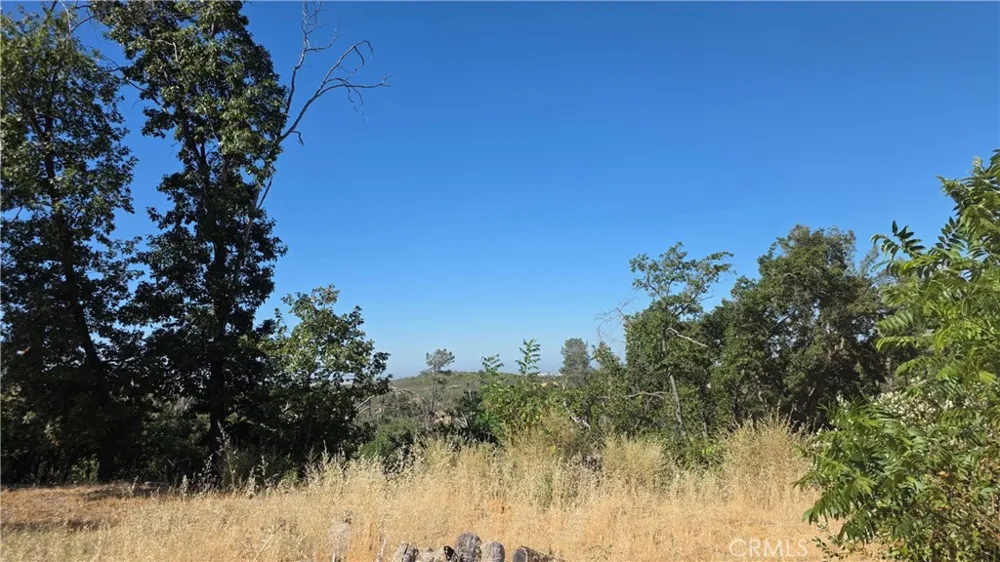 1569 La Grande Vue Paradise, CA 95969