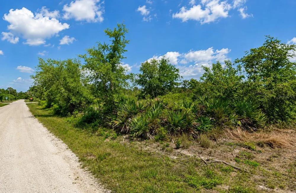 104 TOBLER TERRACE NW Lake Placid, FL 33852