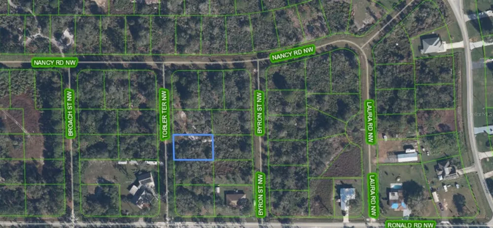104 TOBLER TERRACE NW Lake Placid, FL 33852
