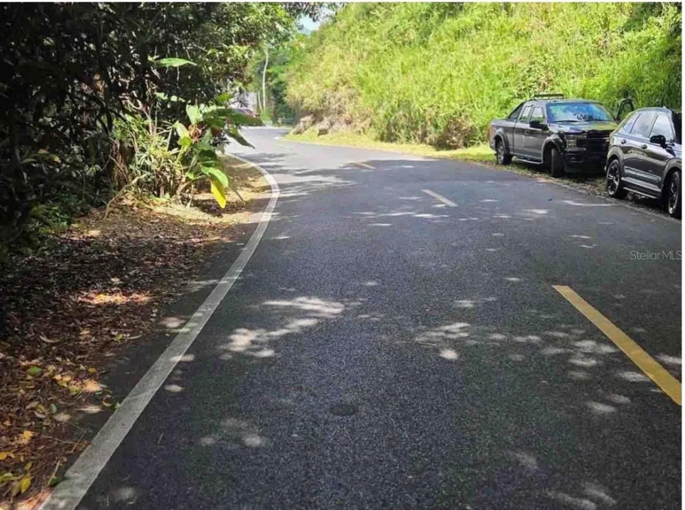 CARR 15 KM 21 Cayey, PR 00736