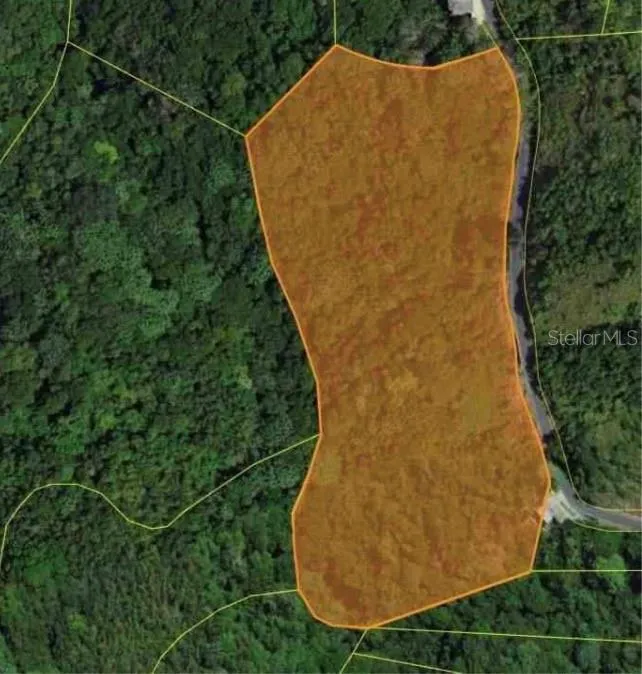 CARR 15 KM 21 Cayey, PR 00736