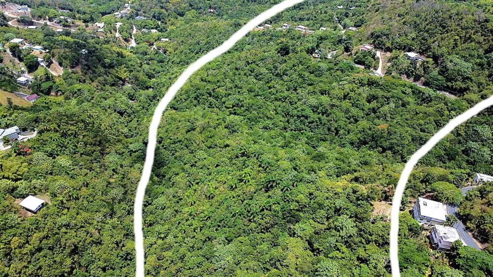 CARR 15 KM 21 Cayey, PR 00736