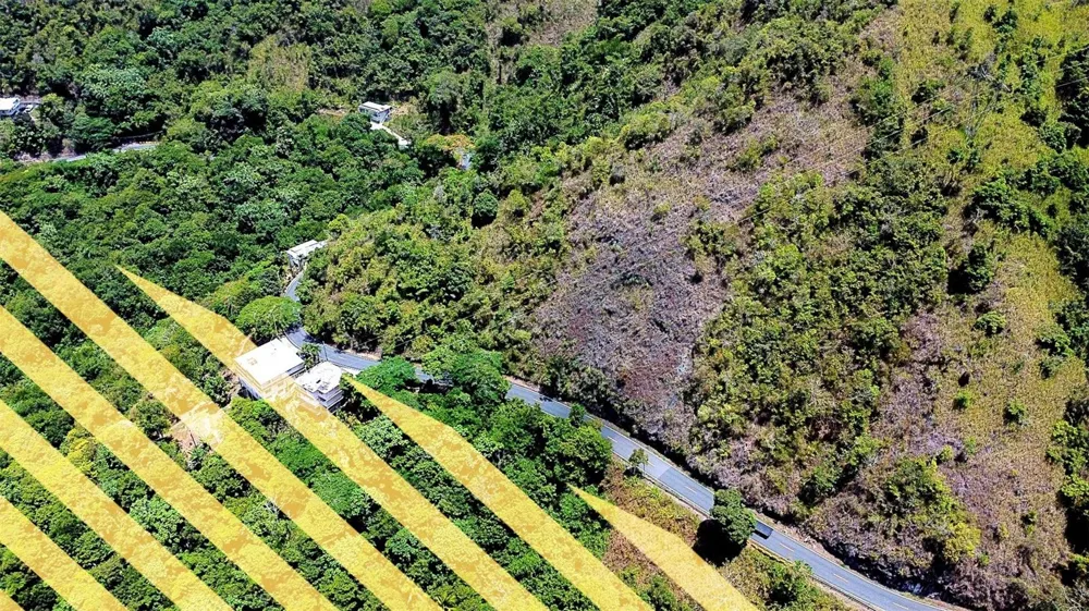 CARR 15 KM 21 Cayey, PR 00736