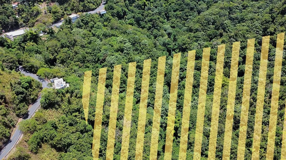 CARR 15 KM 21 Cayey, PR 00736