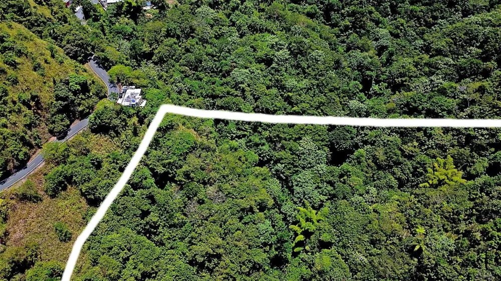 CARR 15 KM 21 Cayey, PR 00736