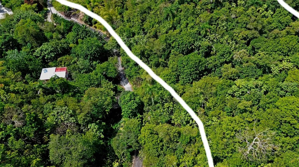 CARR 15 KM 21 Cayey, PR 00736