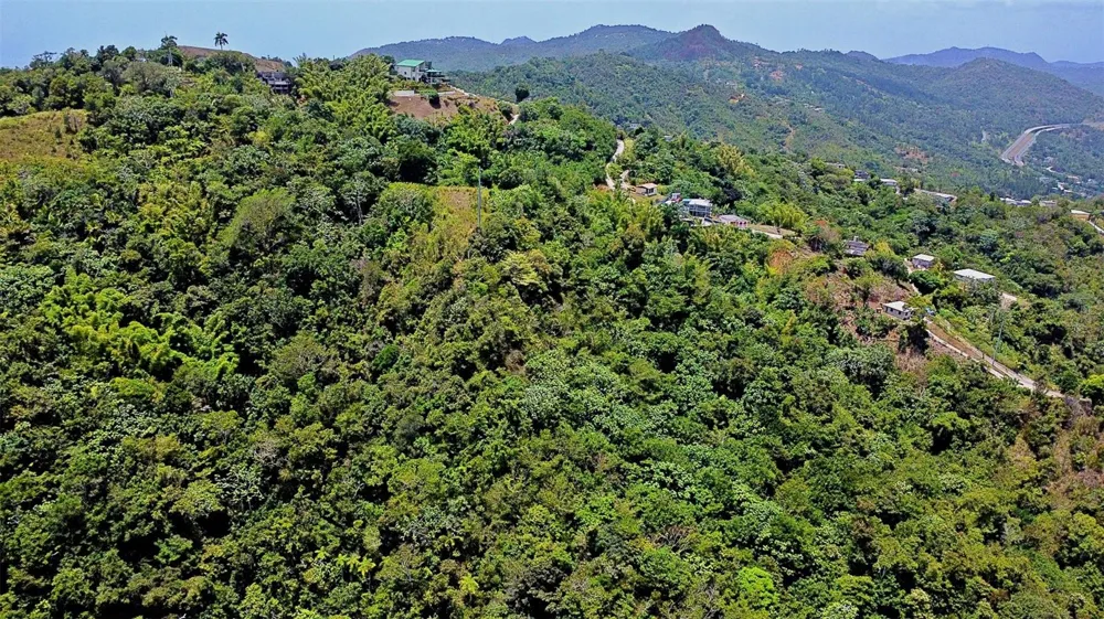CARR 15 KM 21 Cayey, PR 00736