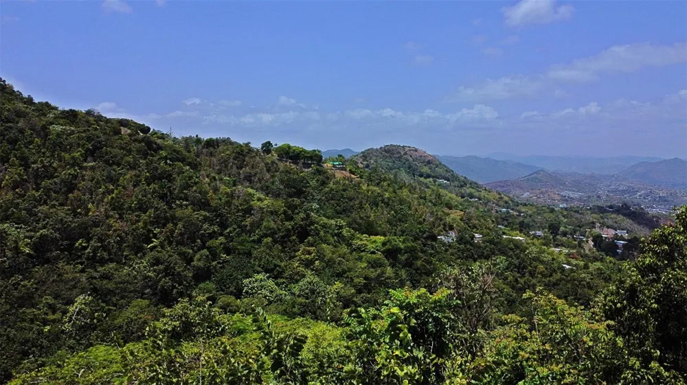 CARR 15 KM 21 Cayey, PR 00736