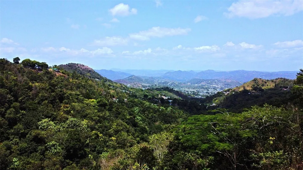 CARR 15 KM 21 Cayey, PR 00736