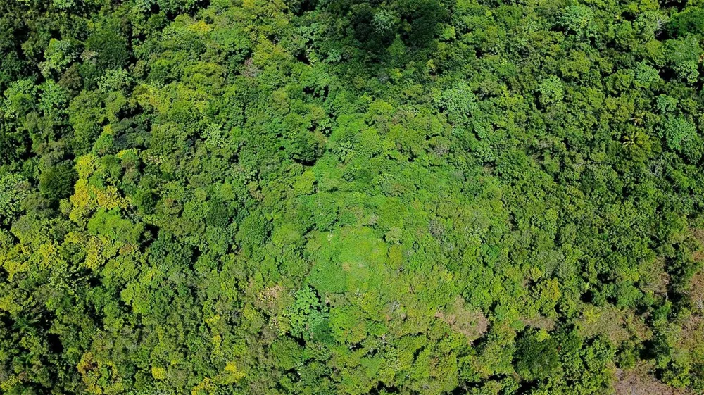 CARR 15 KM 21 Cayey, PR 00736