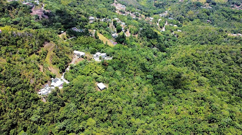 CARR 15 KM 21 Cayey, PR 00736