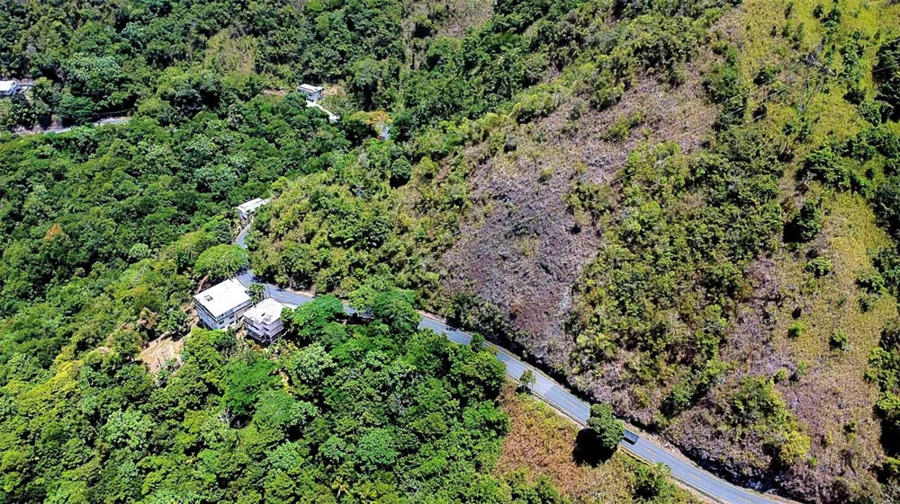 CARR 15 KM 21 Cayey, PR 00736