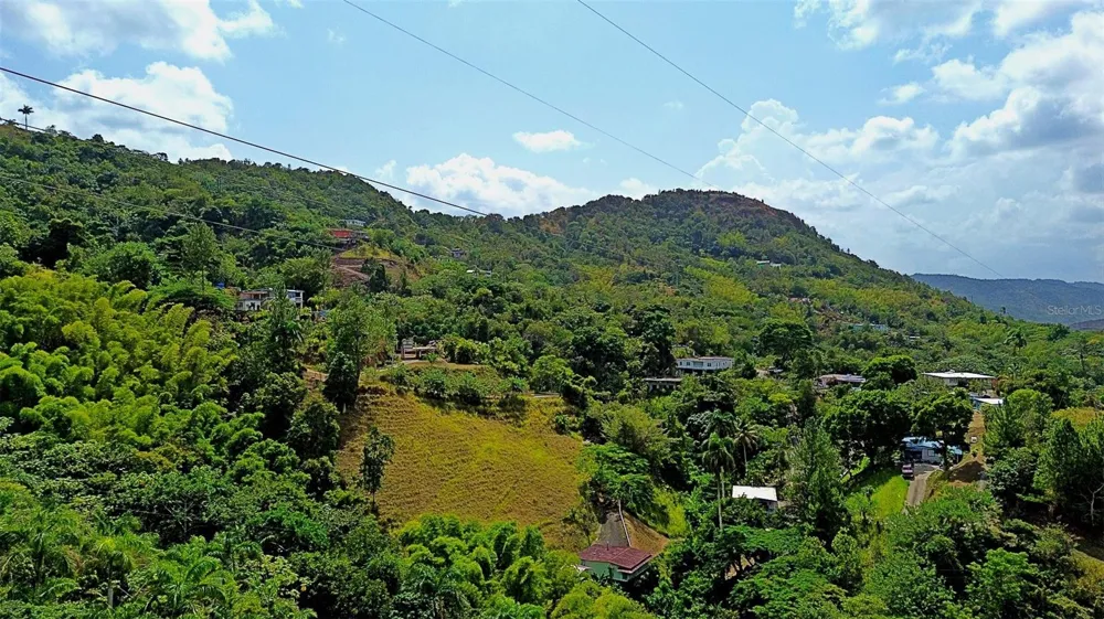 CARR 15 KM 21 Cayey, PR 00736