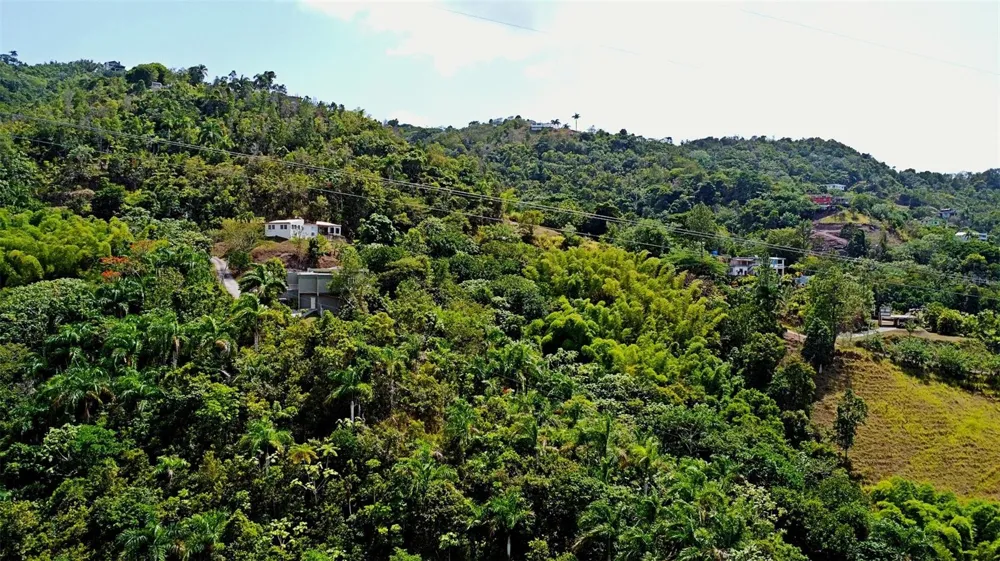 CARR 15 KM 21 Cayey, PR 00736