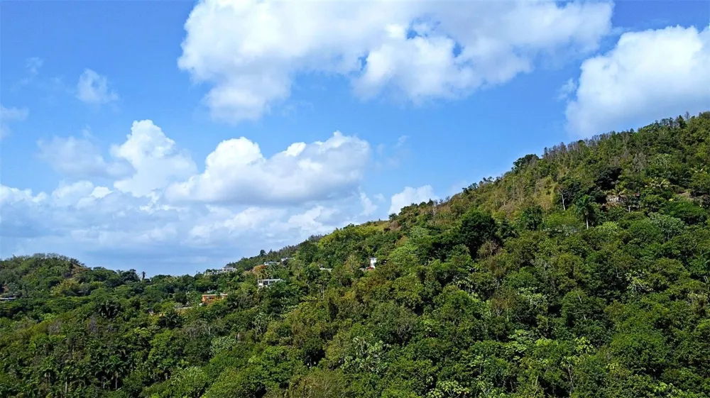 CARR 15 KM 21 Cayey, PR 00736