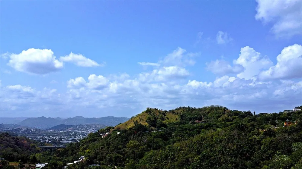 CARR 15 KM 21 Cayey, PR 00736