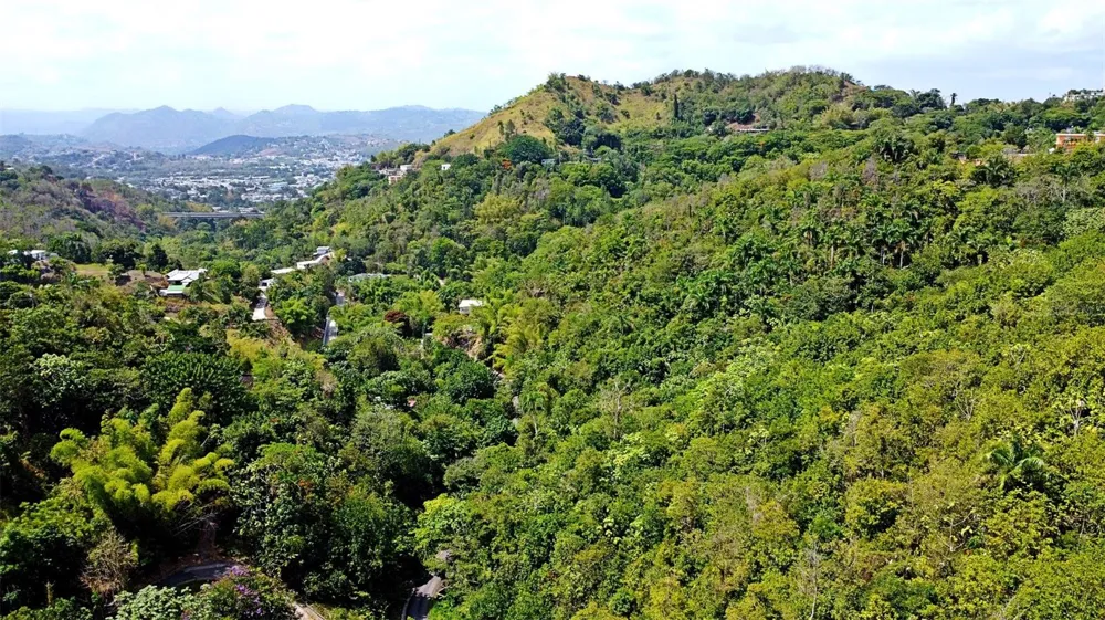 CARR 15 KM 21 Cayey, PR 00736