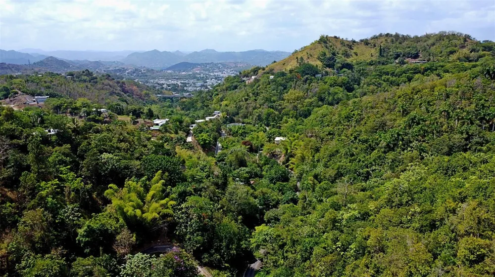 CARR 15 KM 21 Cayey, PR 00736