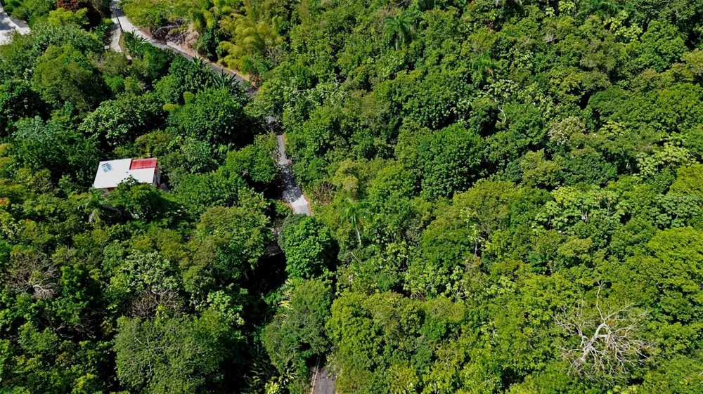 CARR 15 KM 21 Cayey, PR 00736